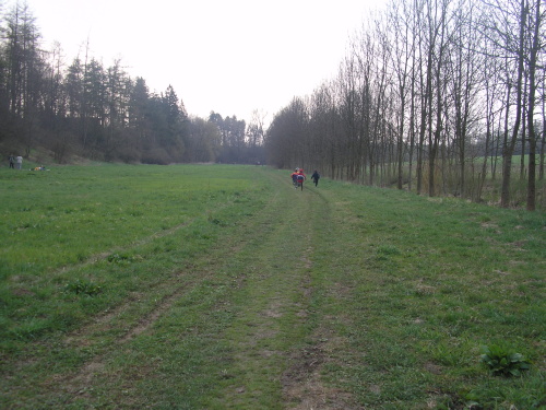 P4213482.jpg